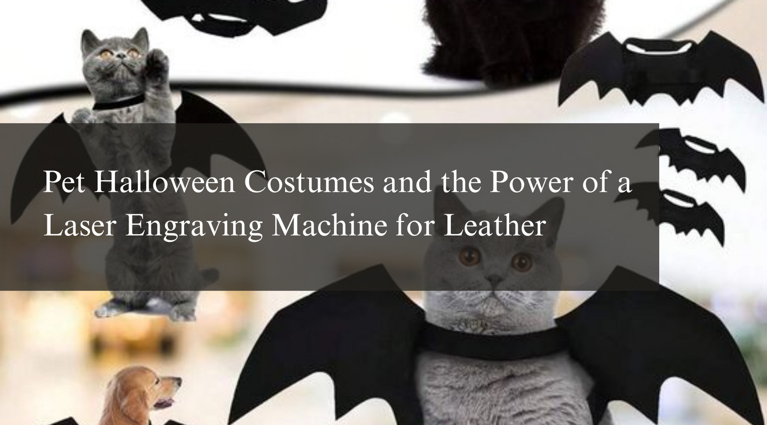 Pet Halloween Costumes and the Power of a Laser Engraving Machine for Leather