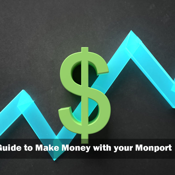 The Ultimate Guide to Make Money With your Monport 