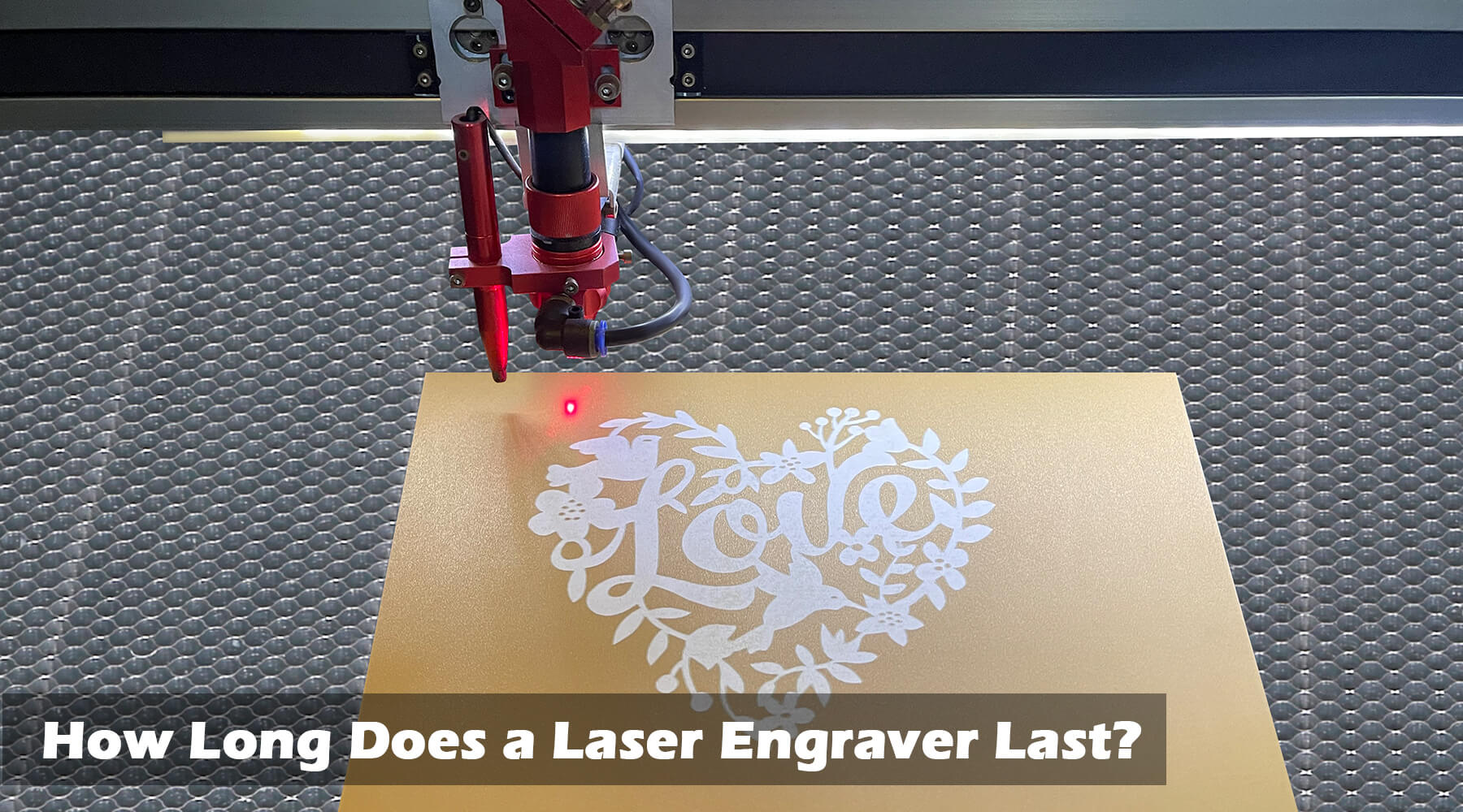 laser engraver last