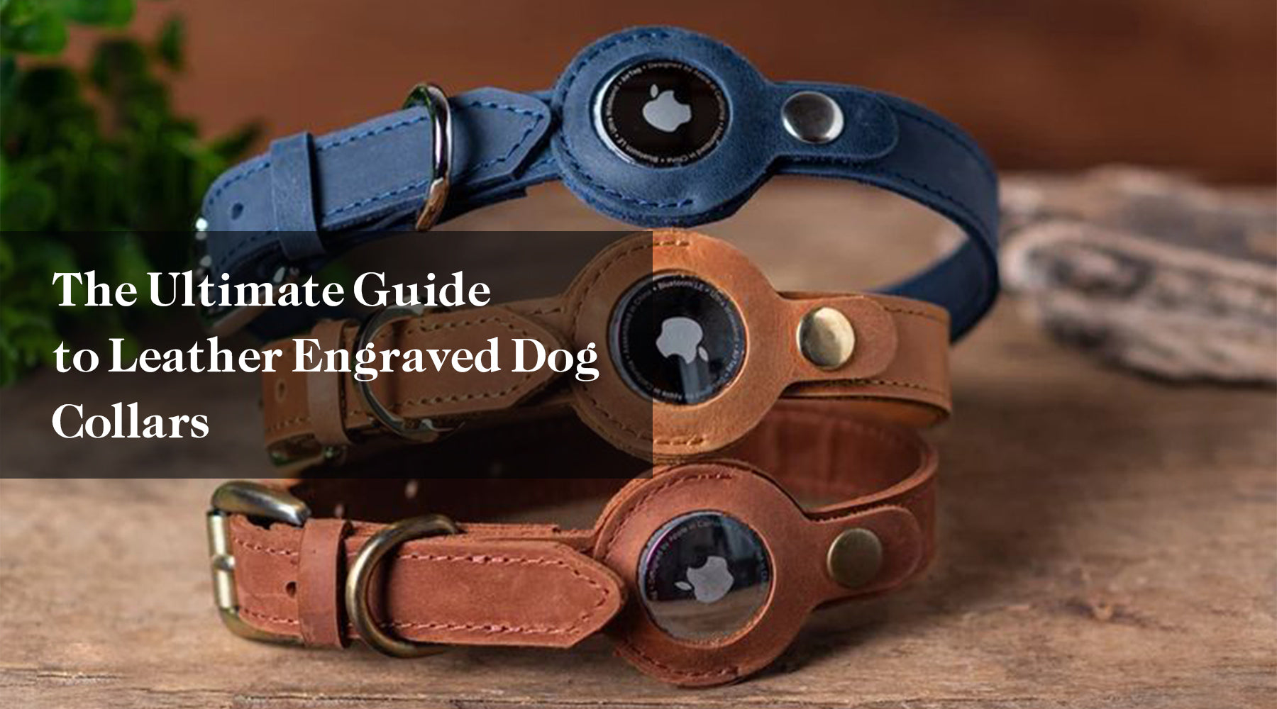 The Ultimate Guide to Leather Engraved Dog Collars