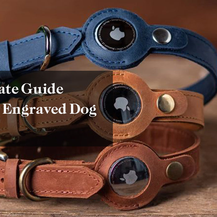 The Ultimate Guide to Leather Engraved Dog Collars