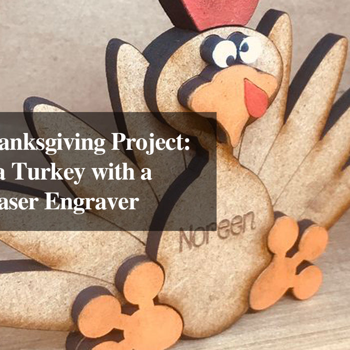 Creative Thanksgiving Project: Decorating a Turkey with a Low-Cost Laser Engraver