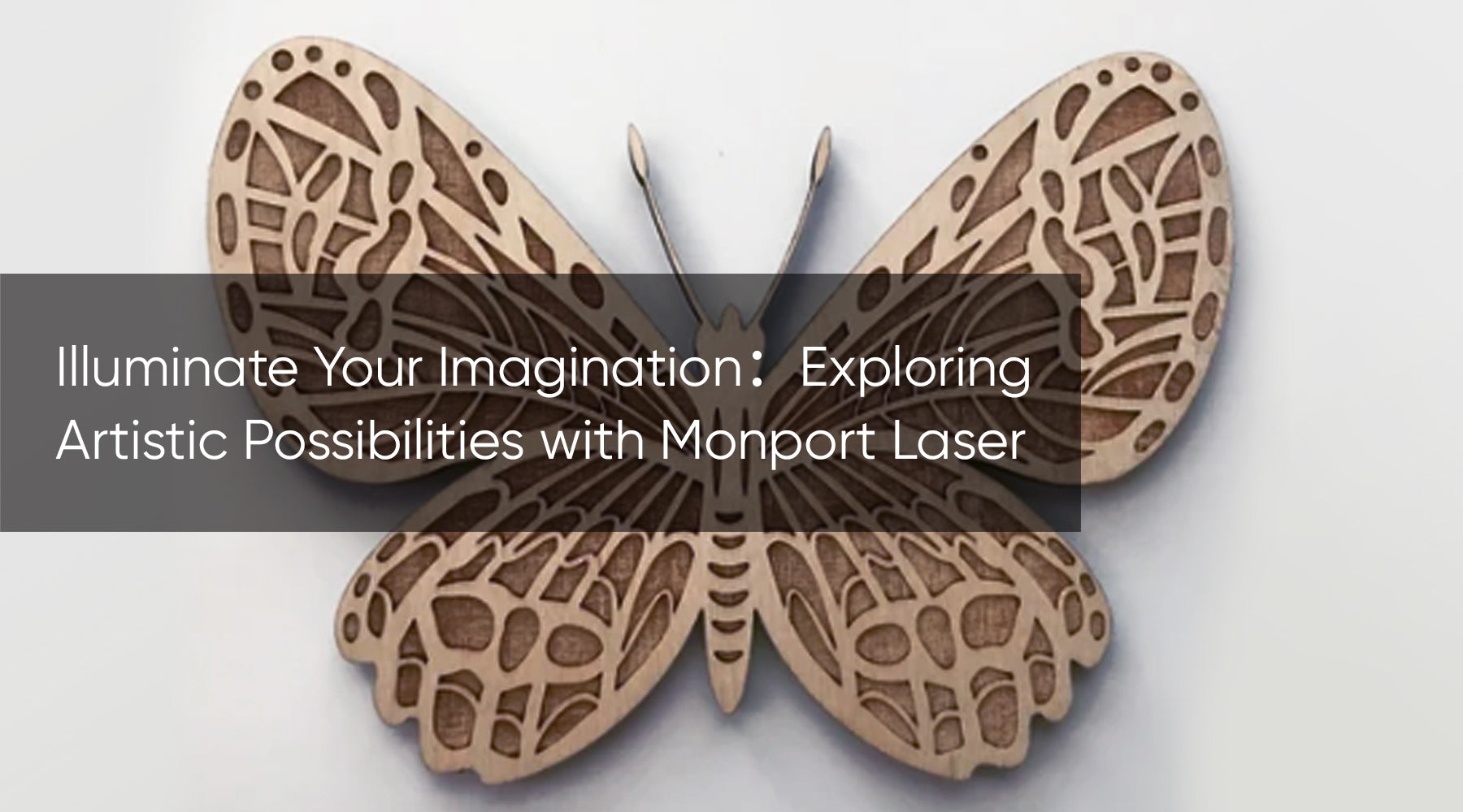 Illuminate Your Imagination：Exploring Artistic Possibilities with Monport Laser