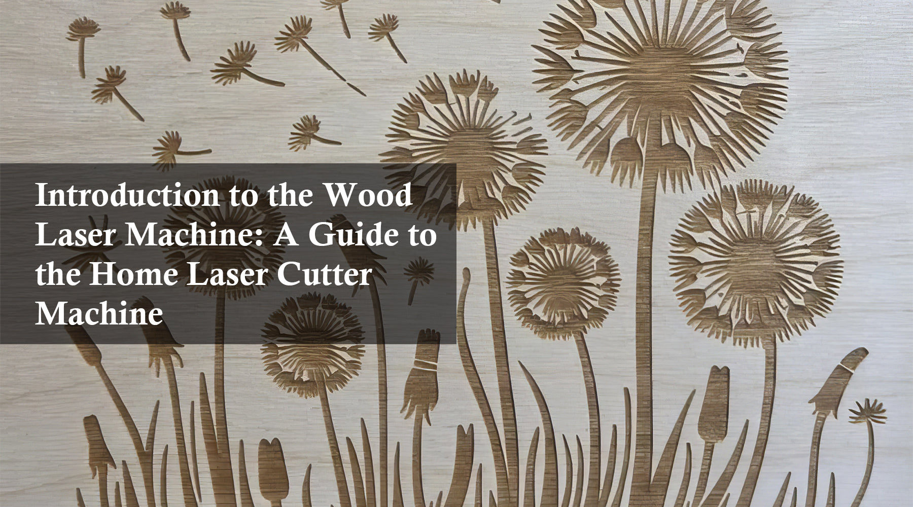 Introduction to the Wood Laser Machine: A Guide to the Home Laser Cutter Machine