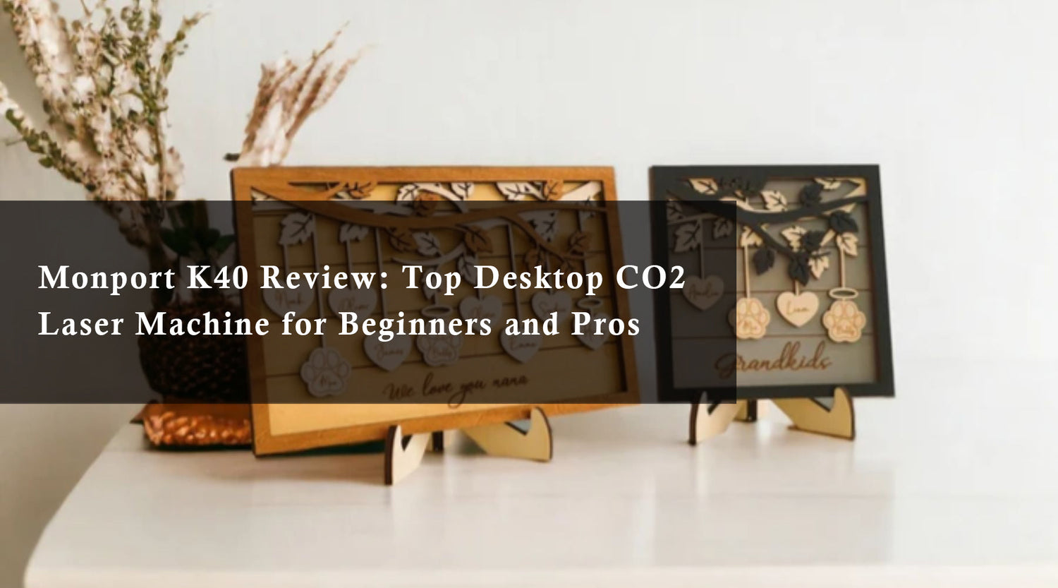 Monport K40 Review: Top Desktop CO2 Laser Machine for Beginners and Pros