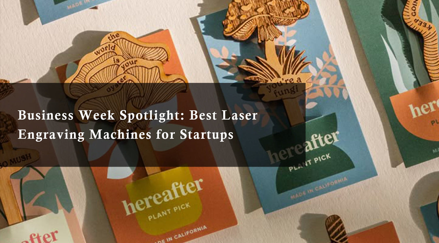 Business Week Spotlight: Best Laser Engraving Machines for Startups