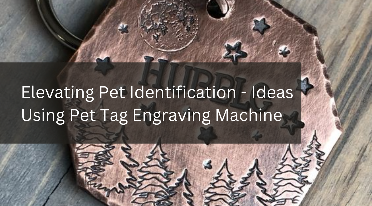 Elevating Pet Identification - Ideas Using Pet Tag Engraving Machine