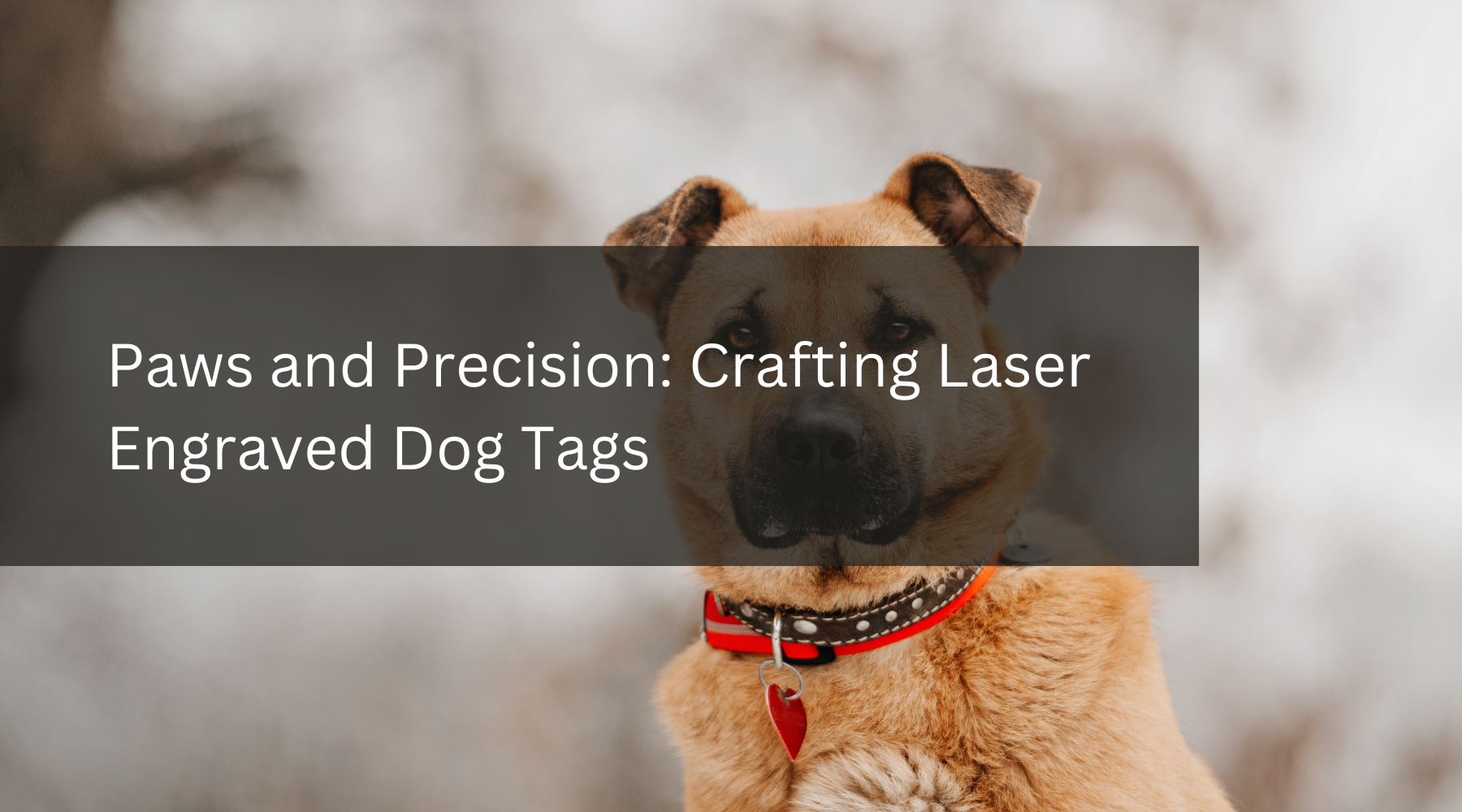 Paws and Precision: Crafting Laser Engraved Dog Tags