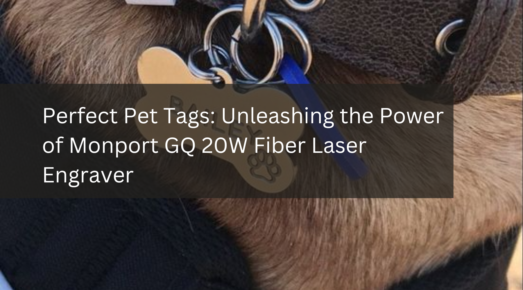 Perfect Pet Tags: Unleashing the Power of Monport GQ 20W Fiber Laser Engraver