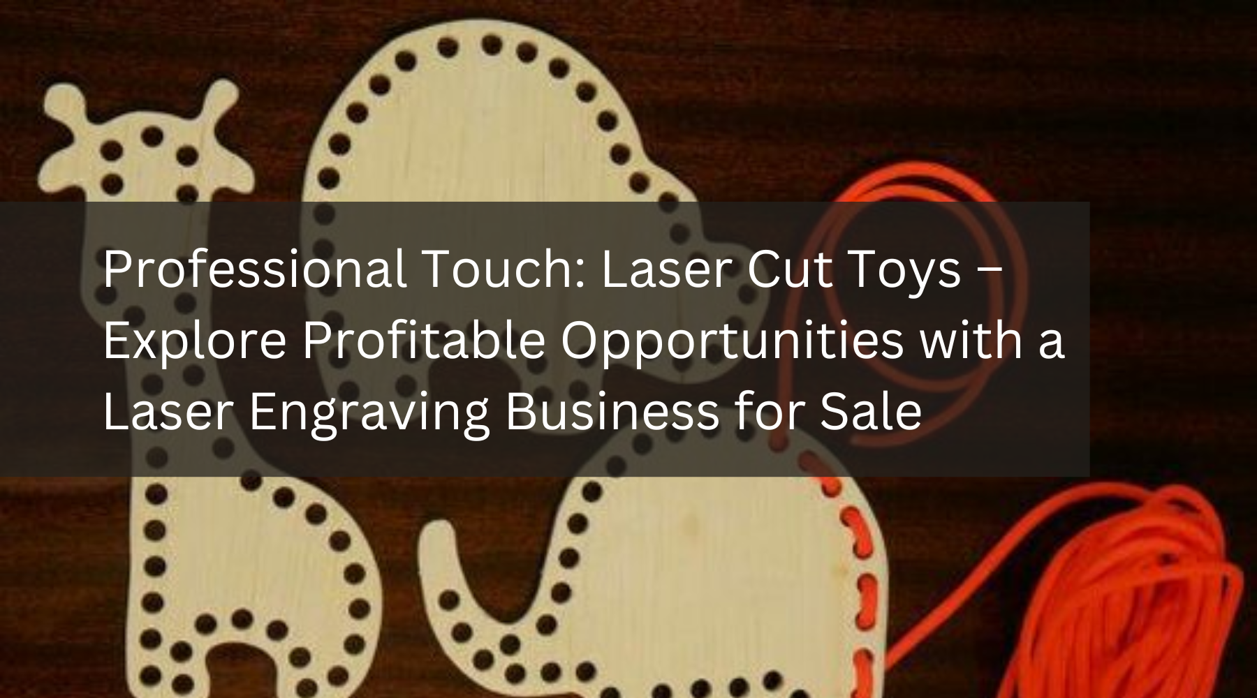 Professional Touch: Laser Cut Toys – Explore Profitable Opportunities with a Laser Engraving Business for Sale