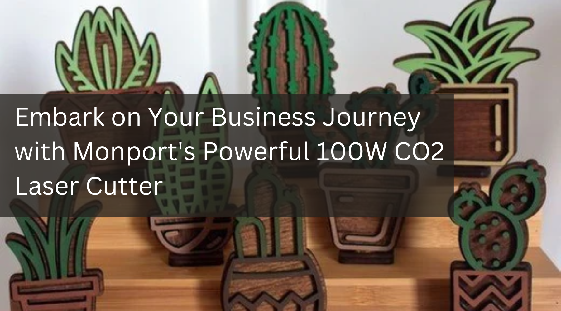 Embark on Your Business Journey with Monport's Powerful 100W CO2 Laser Cutter