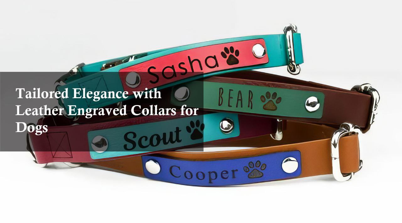 laser engraved collars fro dogs