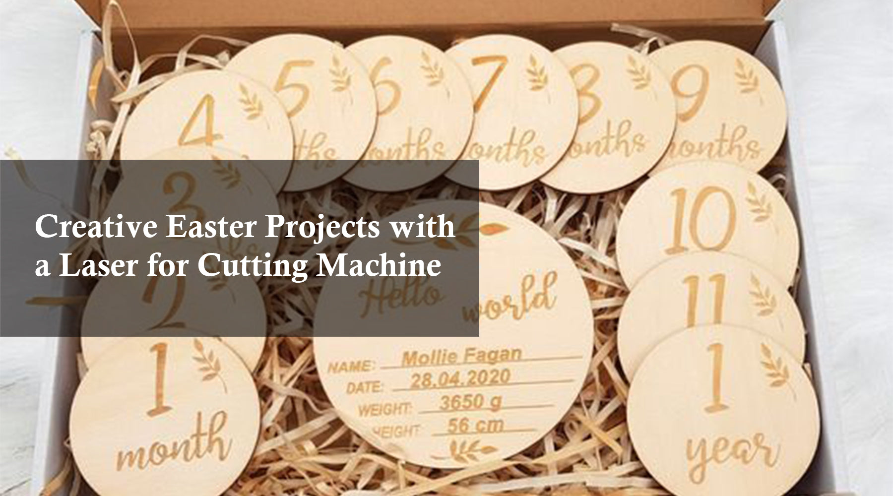 Creative Easter Projects with a Laser for Cutting Machine