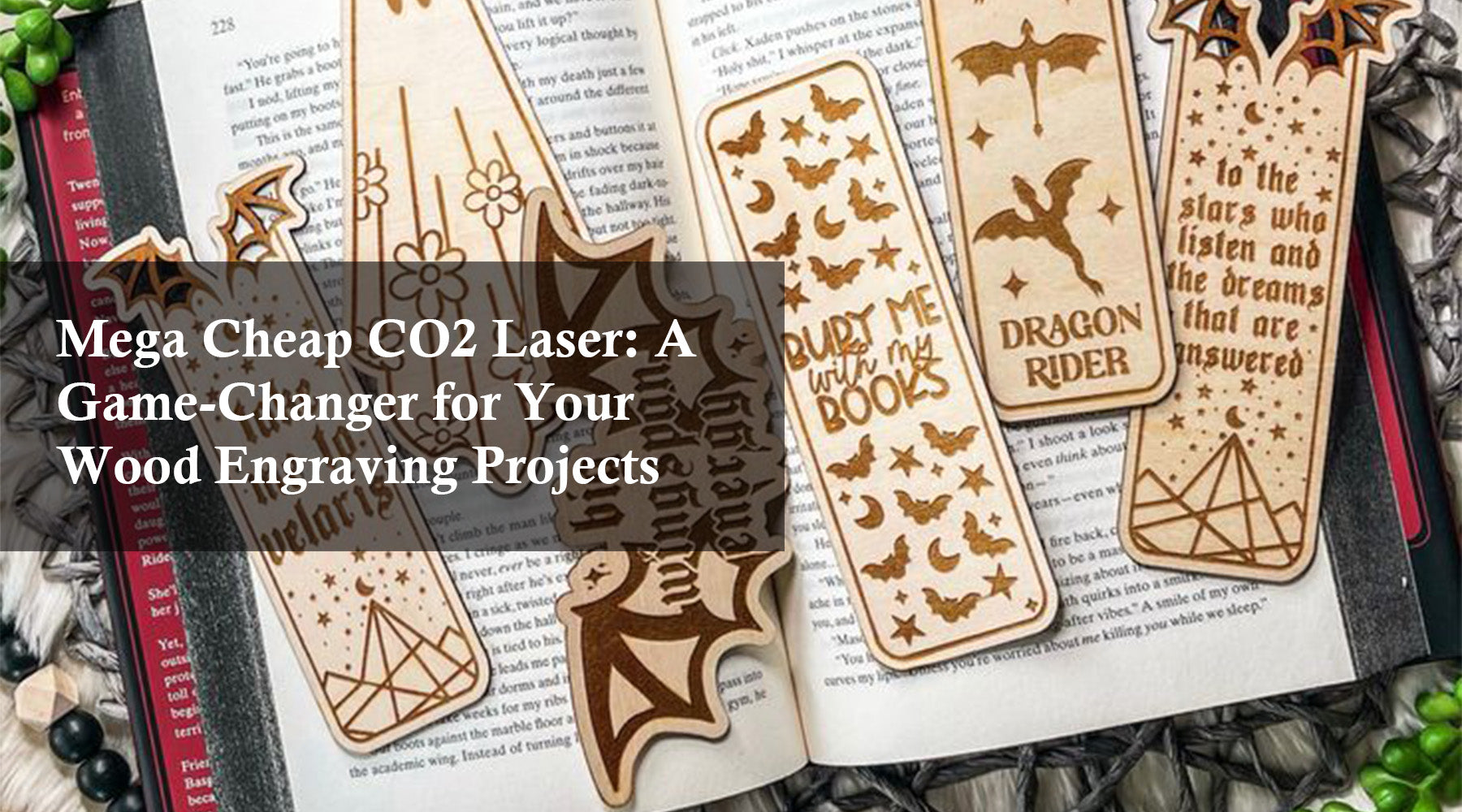 Mega Cheap CO2 Laser: A Game-Changer for Your Wood Engraving Projects
