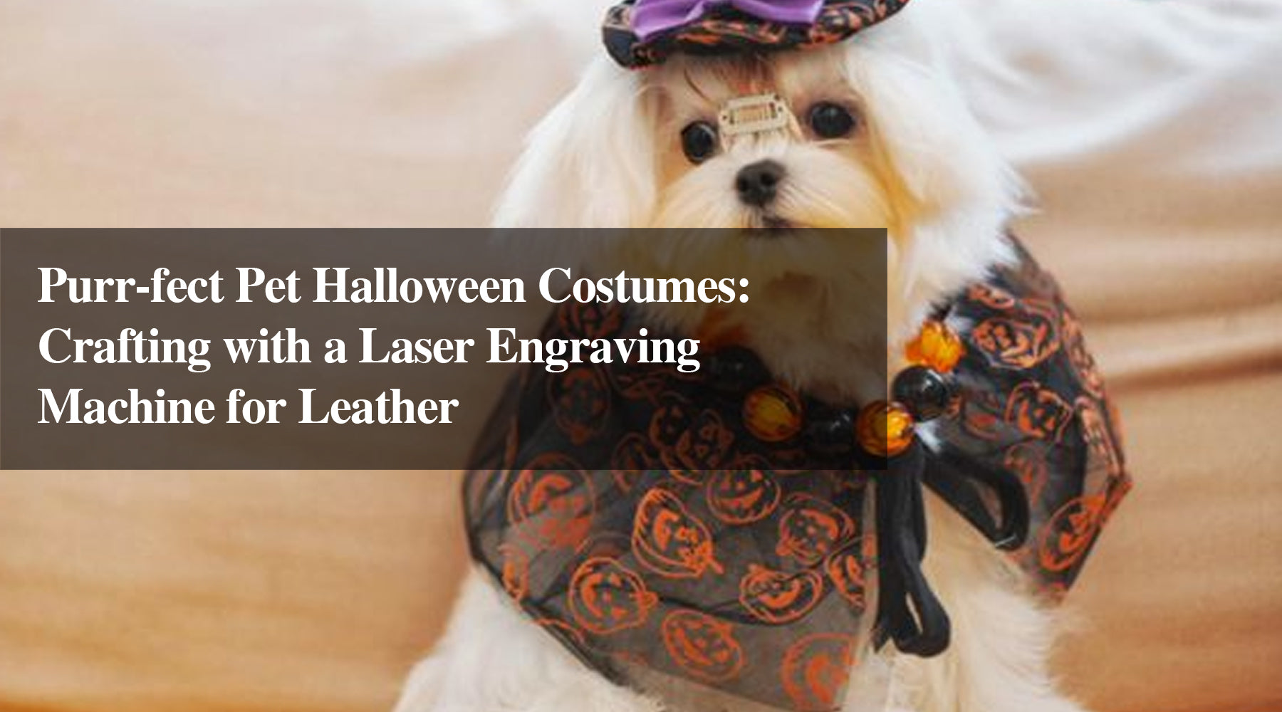 Purr-fect Pet Halloween Costumes: Crafting with a Laser Engraving Machine for Leather