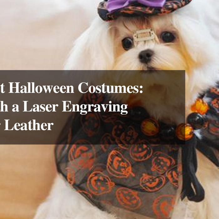 Purr-fect Pet Halloween Costumes: Crafting with a Laser Engraving Machine for Leather