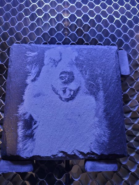 monport laser engraving result dog